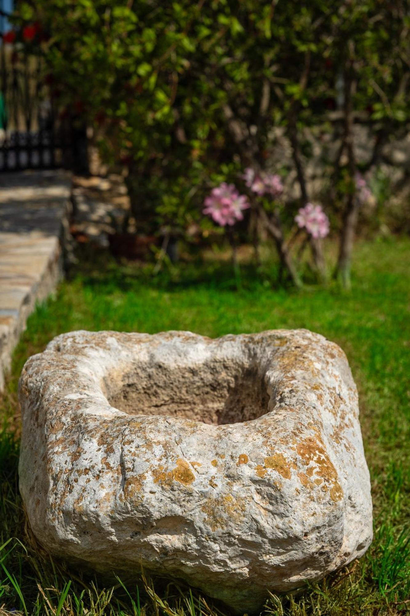 Villa Dionysios Kerí Kültér fotó