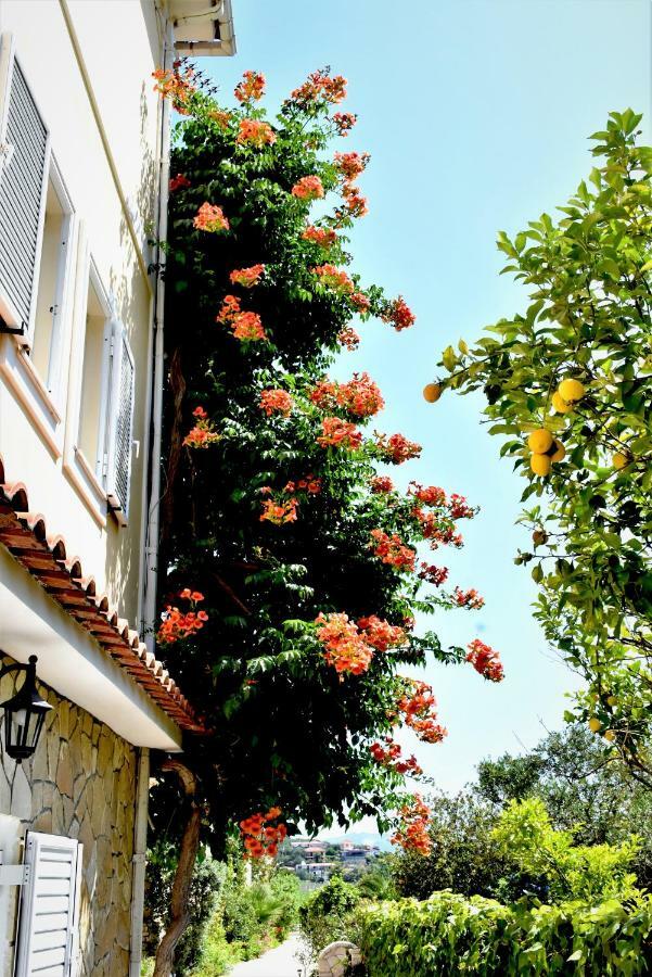 Villa Dionysios Kerí Kültér fotó